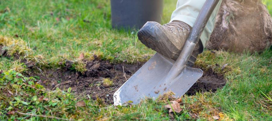 Das Bild zeigt das Beitragsbild 1 zum Thema: Garten anlegen und pflegen