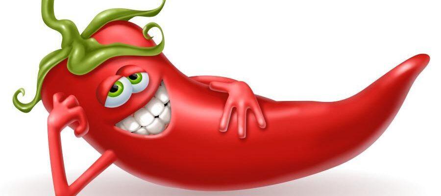 Das Bild zeigt das Beitragsbild 1 zum Thema: Chili auf dem Balkon ziehen